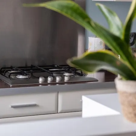 Maison - Le Terra Verde - Terrasse * Haguenau